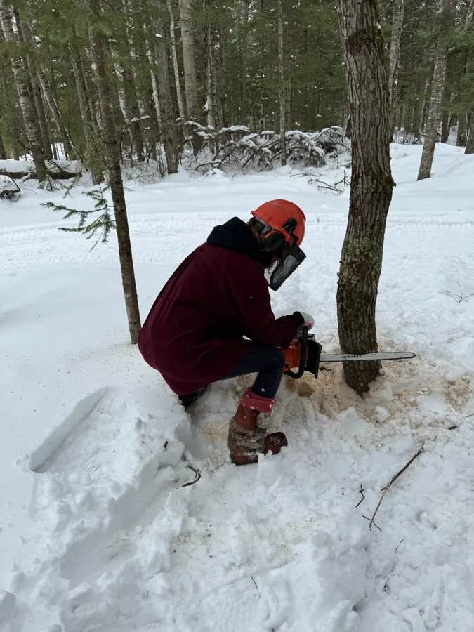 La première rencontre entre Mélissa et le père de Carl. Il lui a mis une scie à chaîne dans les mains et lui a fait abattre un arbre.