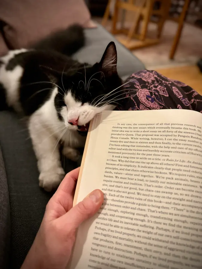 Tartine dévore un livre.